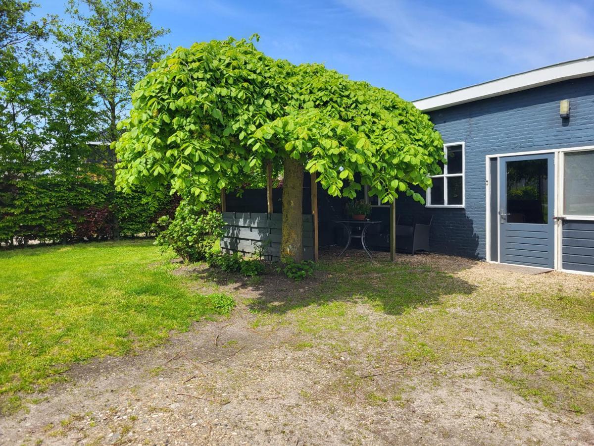 Luxe Bloemenzicht 4 Personen, Bnb, 10 Minuten Van Zee Breezand Exterior foto